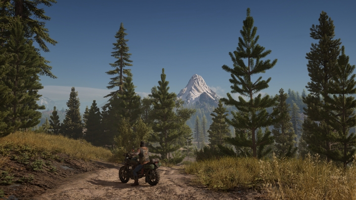 Новые скриншоты Days Gone с PS4 Pro