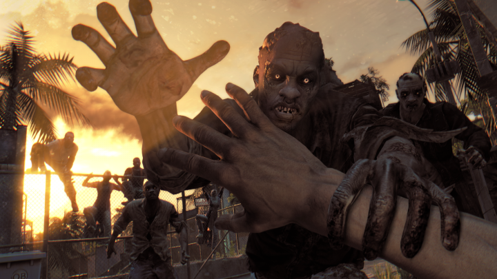 Dying Light: The Following