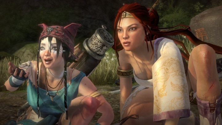 По словам представителей студии, продолжение их в меру успешной Heavenly Sword должно было разворачиваться в загробном мире, чертоги которого рыжеволосой Нарико предстояло покинуть. Любопытно, как грядущая Hellblade отзеркаливает синопсис несостоявшегося сиквела