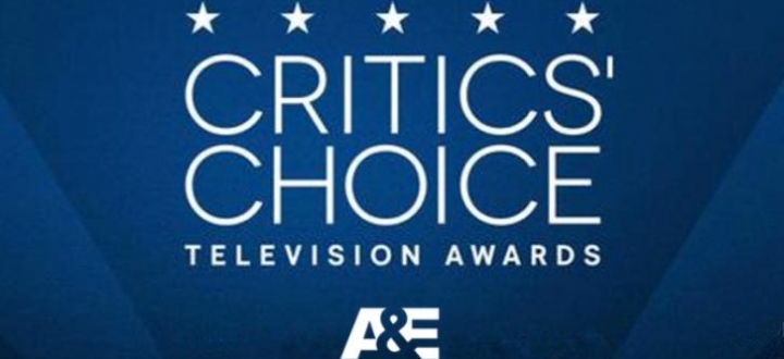 Победители премии Ассоциации телевизионных критиков (TCA Awards)