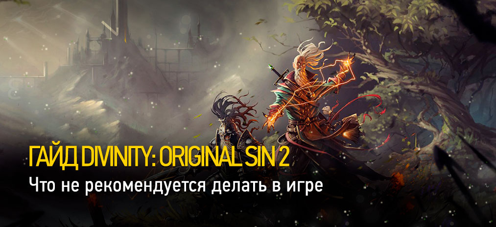 Гайд Divinity: Original Sin 2 - Что не рекомендуется делать в игре. Советы и подсказки