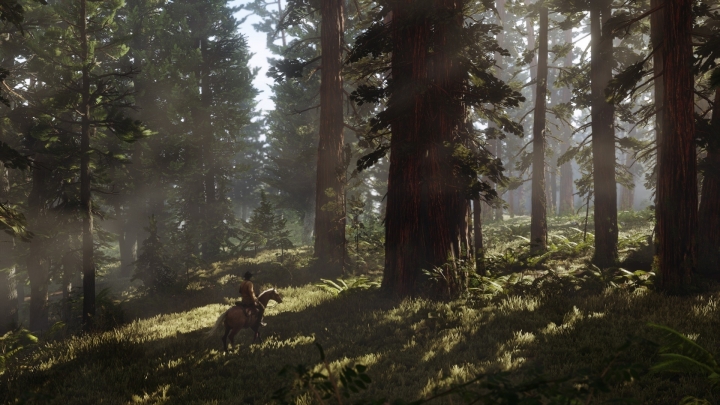 Скриншоты из Red Dead Redemption 2