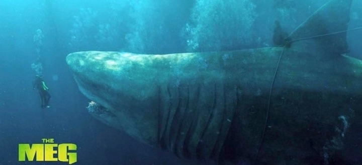 Краткий обзор Мег: Монстр глубины - что проживает на дне океана?