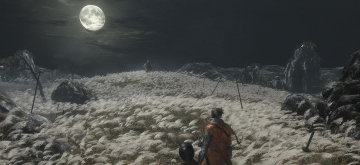 Новый геймплей Sekiro: Shadows Die Twice покажут сегодня