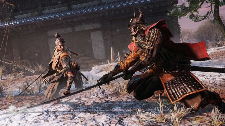 Гайд и прохождение Sekiro Shadow Die Twice — где найти крыс