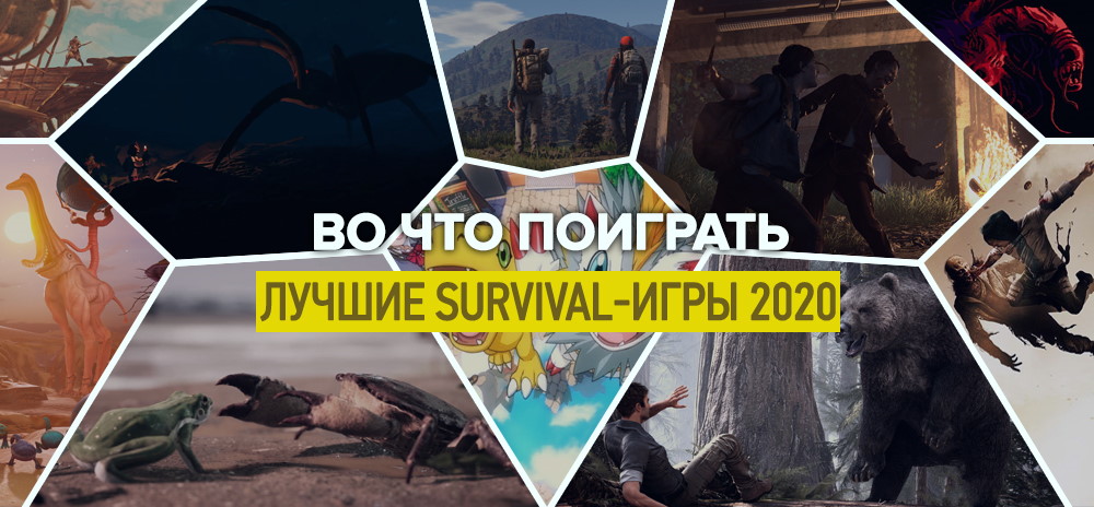 Лучшие и самые ожидаемые игры жанра Survival – Выживание в 2020 году
