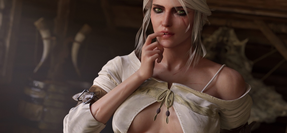 The Best Witcher 3 Sex Mods You can Use - Techilife