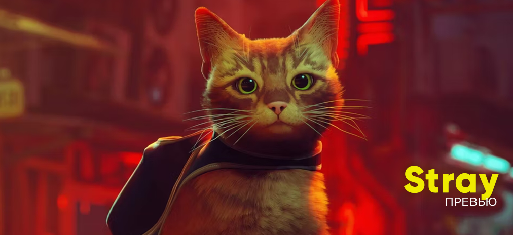 Предварительный обзор Stray. Почему нельзя проспать этот летний релиз
