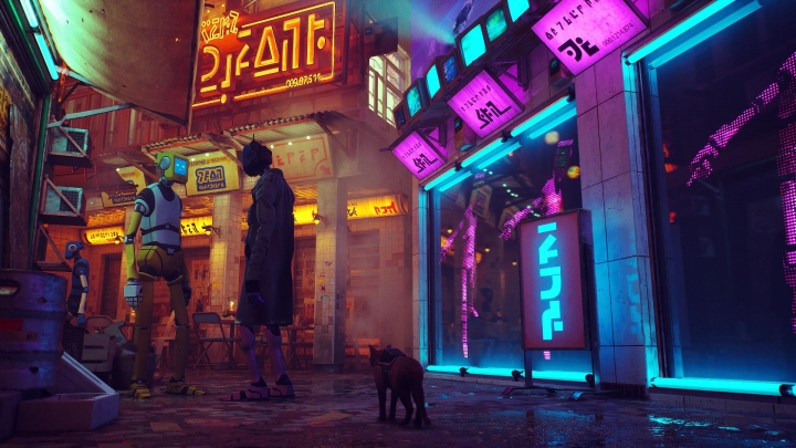 В Stray кот или кошка