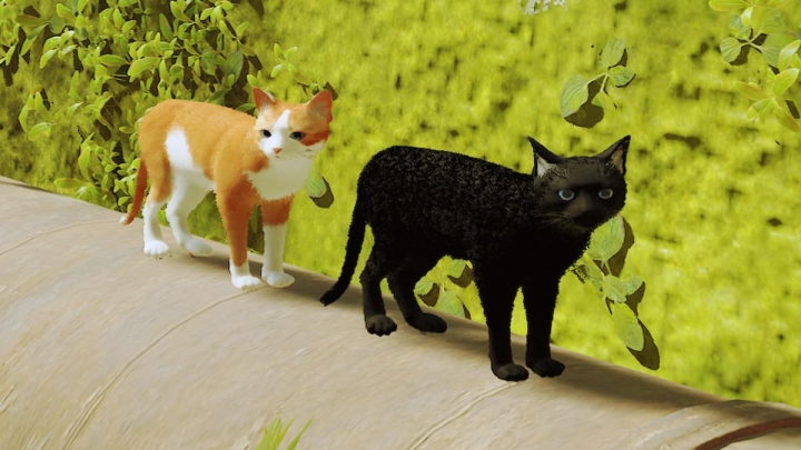 Кастомизация кошки в Stray