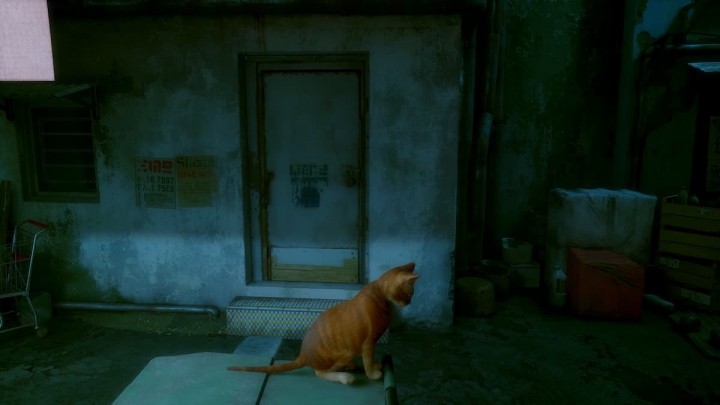 моды Stray скачать