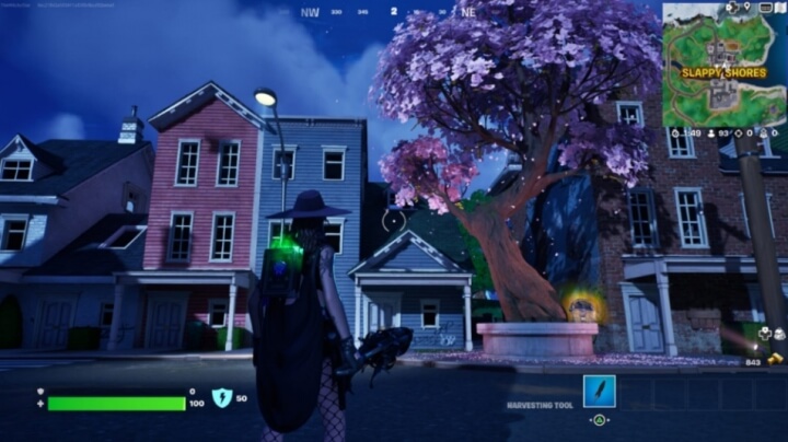 Bloomback Sack в Fortnite