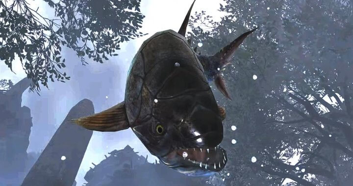 Для чего нужна рыба в Monster Hunter Wilds