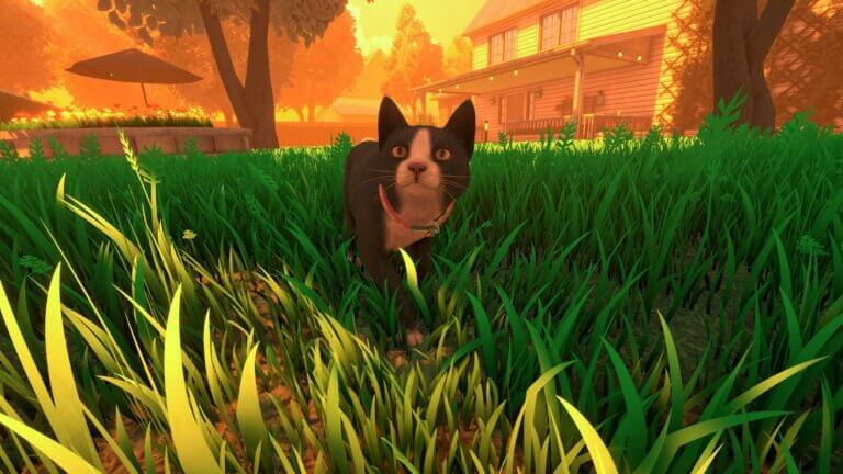 Copycat выйдет на PS5 и Xbox Series 29 мая