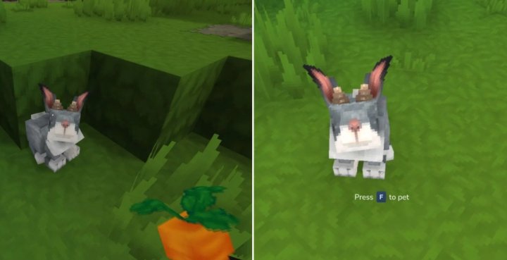 Hytale Как приручить животных